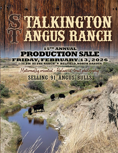 TalkingtonAngus
